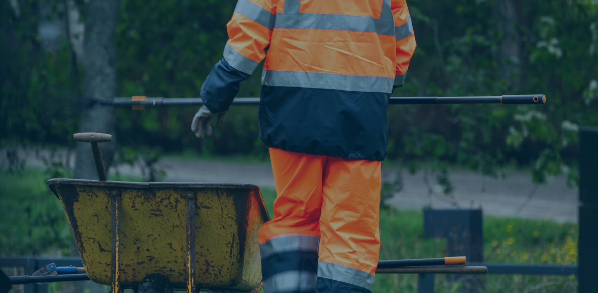 �������ķ����